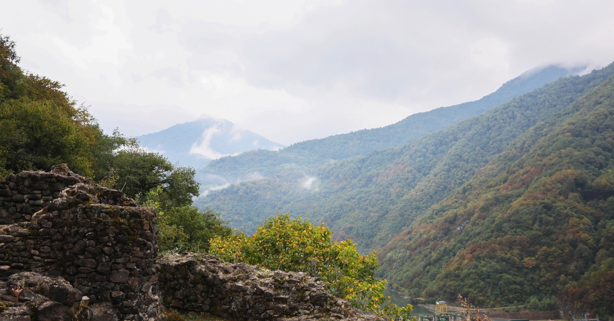 view on stone ruins and forest