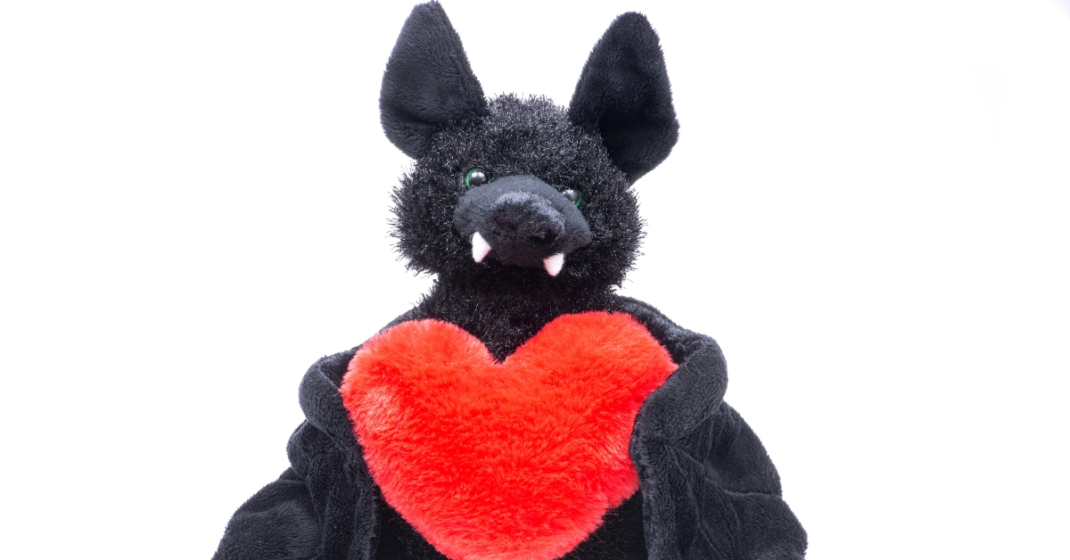stuffed funny black bat toy
