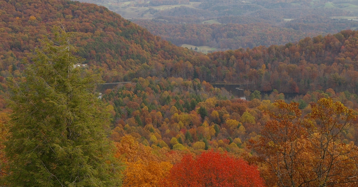 View From Fire Tower Bays Mountain Park