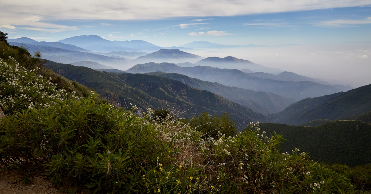 mountain view near lake arrowhead