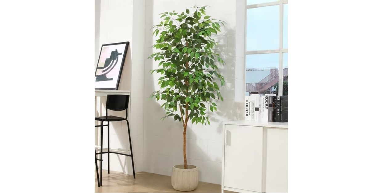 6 ft artificial ficus tree 