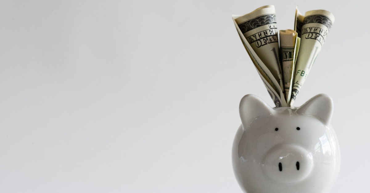  dollars banknotes money into piggy bank