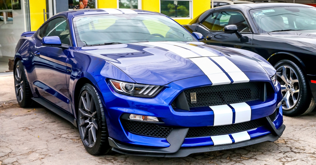 shelby mustang