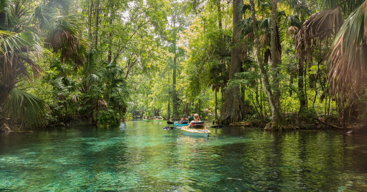 Kayaking along the Silver Spring State Park Waterway