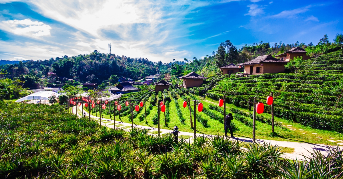 Ban Rak Thai Mae Hong Son in thailand