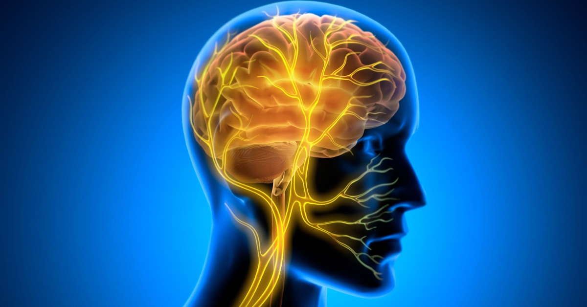 Vagus Nerve Stimulation with glowing nerve fibers