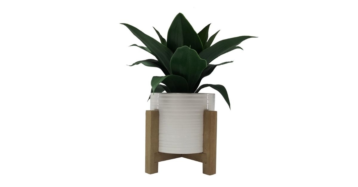 artificial agave plant