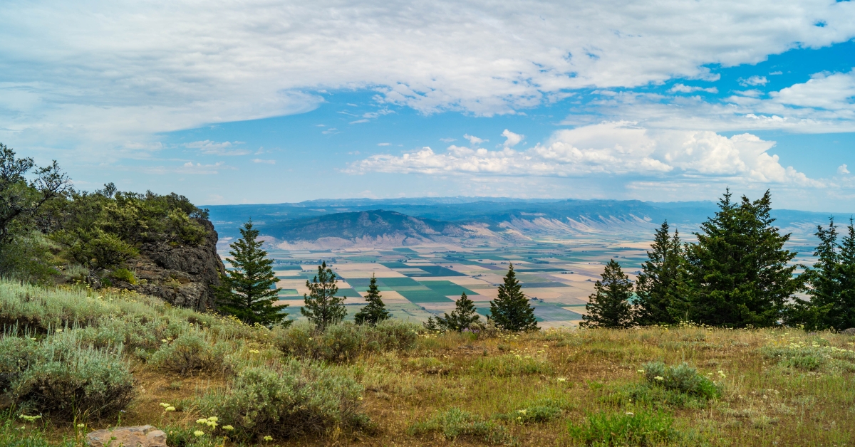 Wallowa-Whitman National Forest near La Grande, Oregon, USA