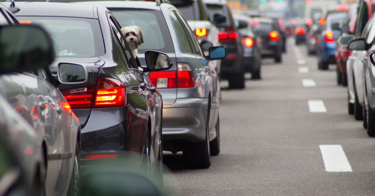 cars on road highway in traffic jam