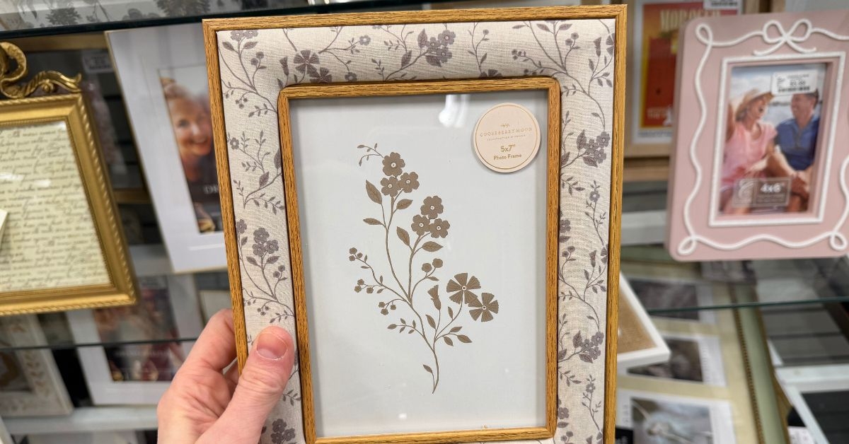 homegoods gooseberry moon picture frame