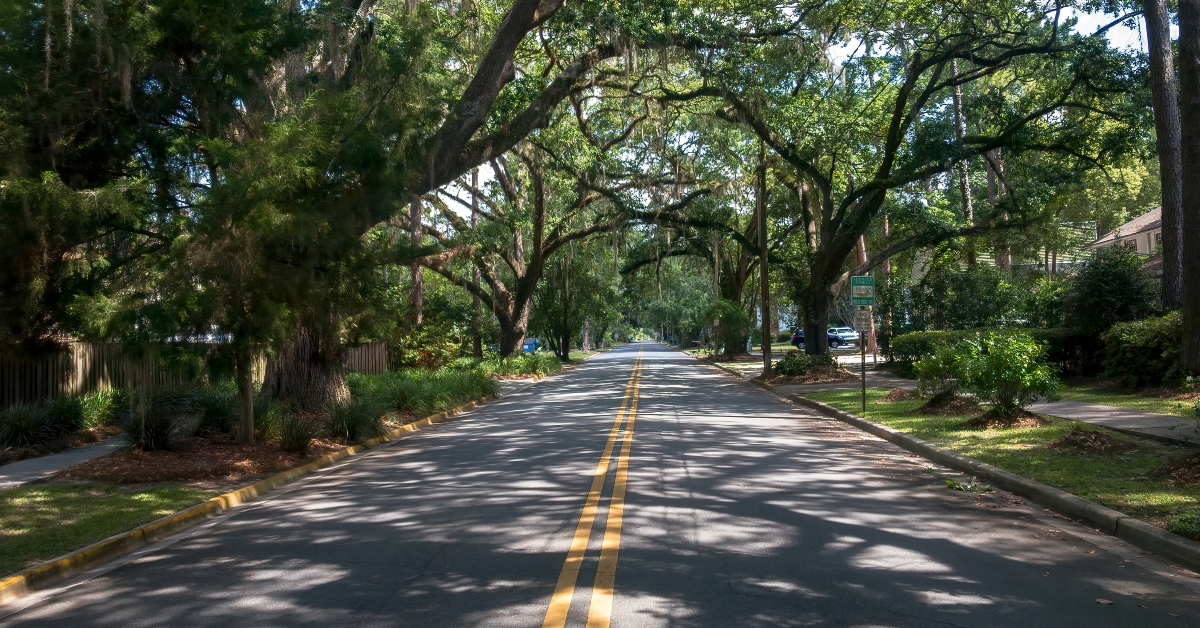 Tree lined street, Slater Street, Valdosta, Georgia