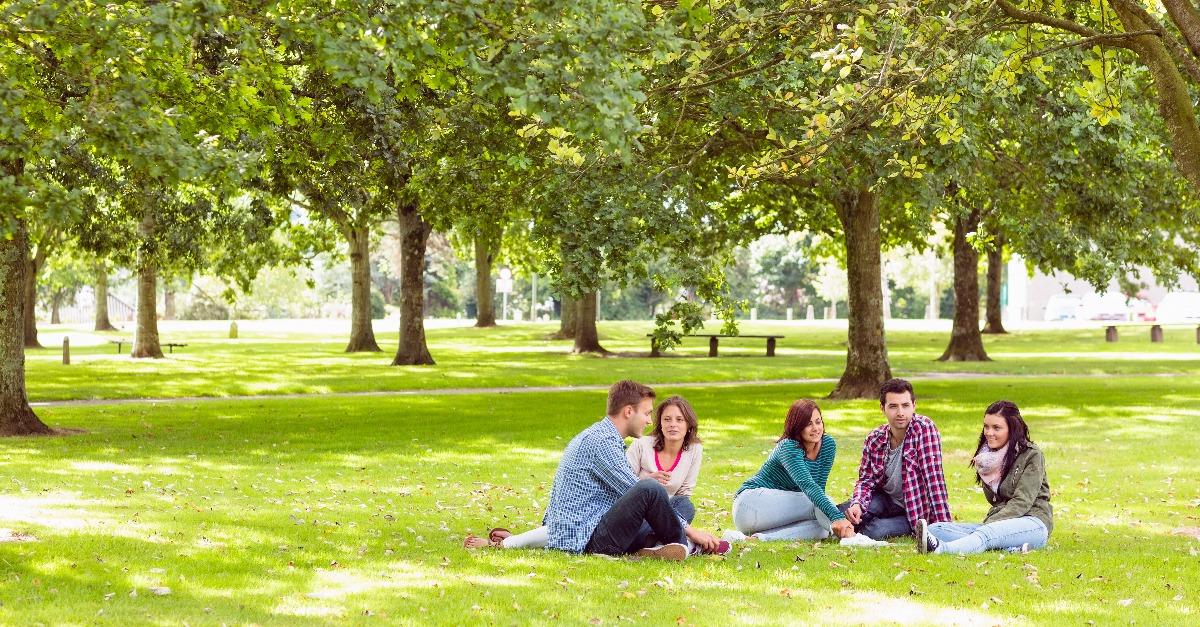 college students sitting on grass in park