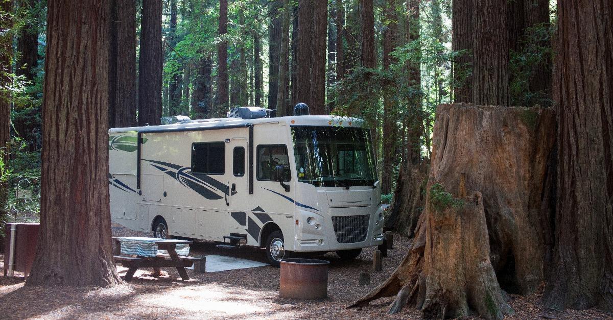 camping in the woods between mammoth trees