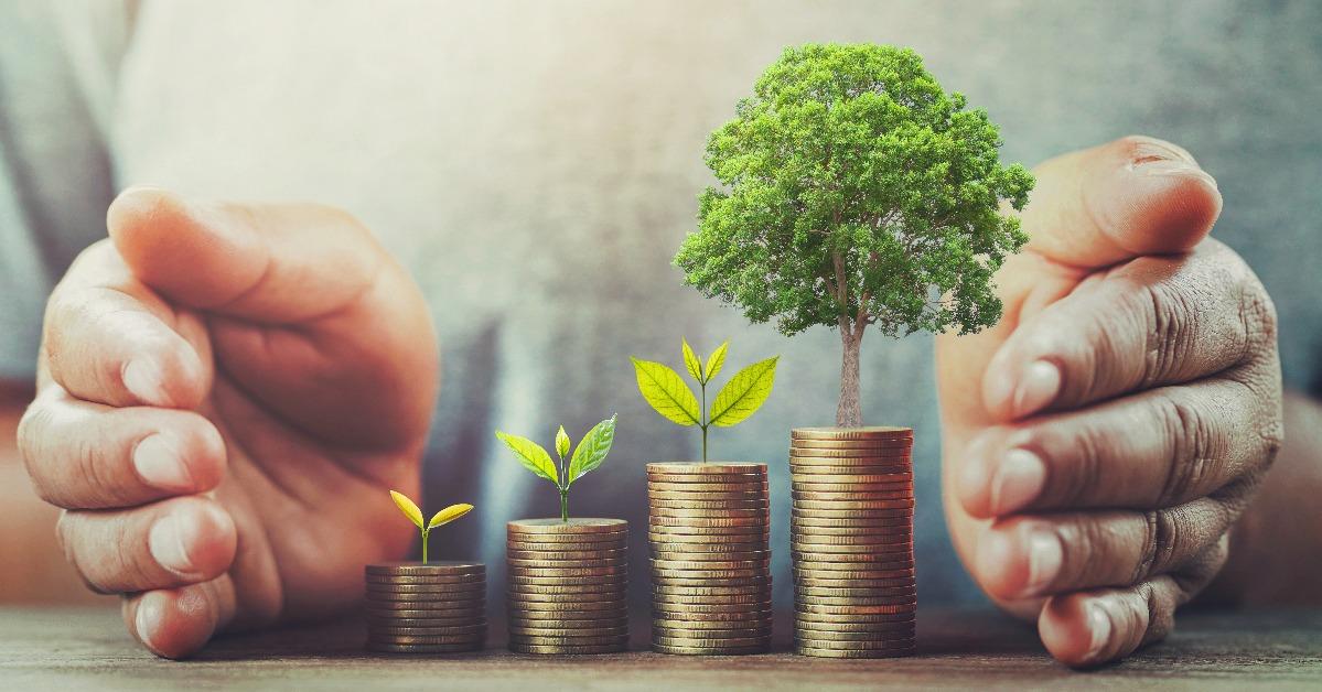 businessman protection money on table with tree investment concept