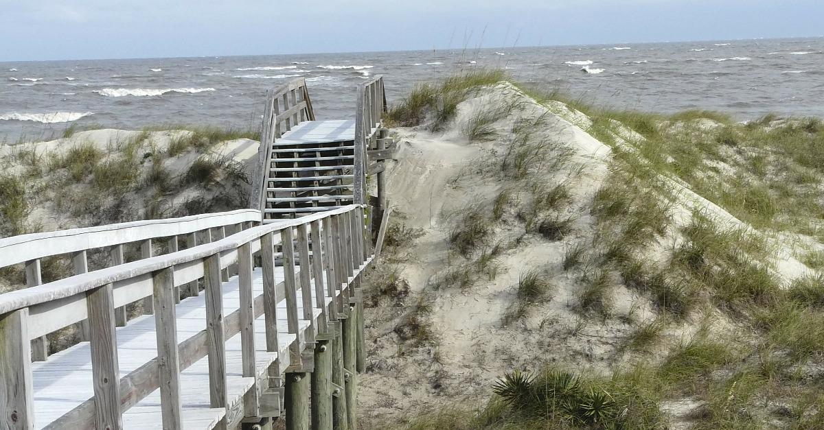 Beach Dunes overlooking Jekyll Island Georgia