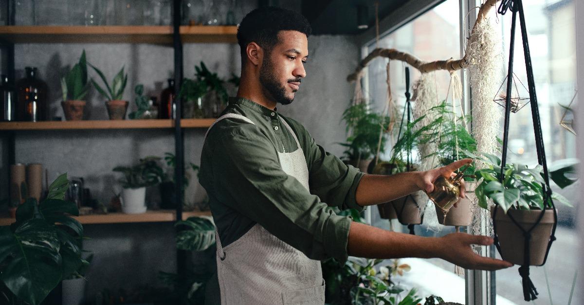 shop assistant working in indoor potted plant store