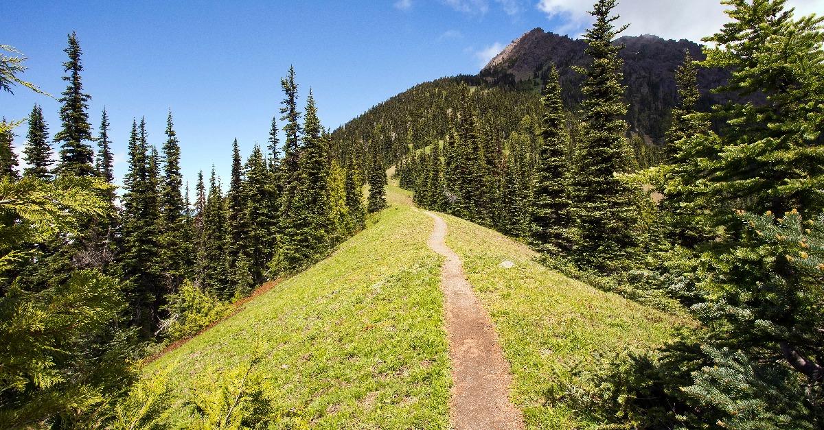 Hiking trail heads up a steep mountain ridge