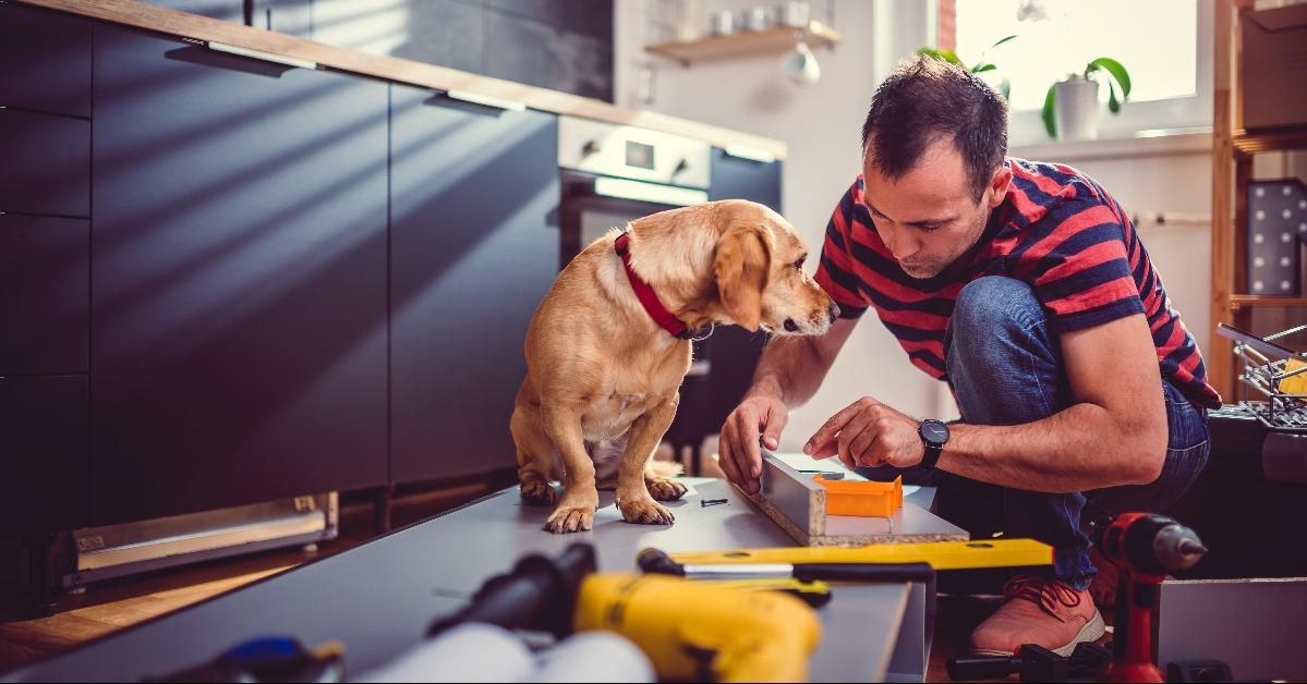Man with dog building kitchen cabinets
