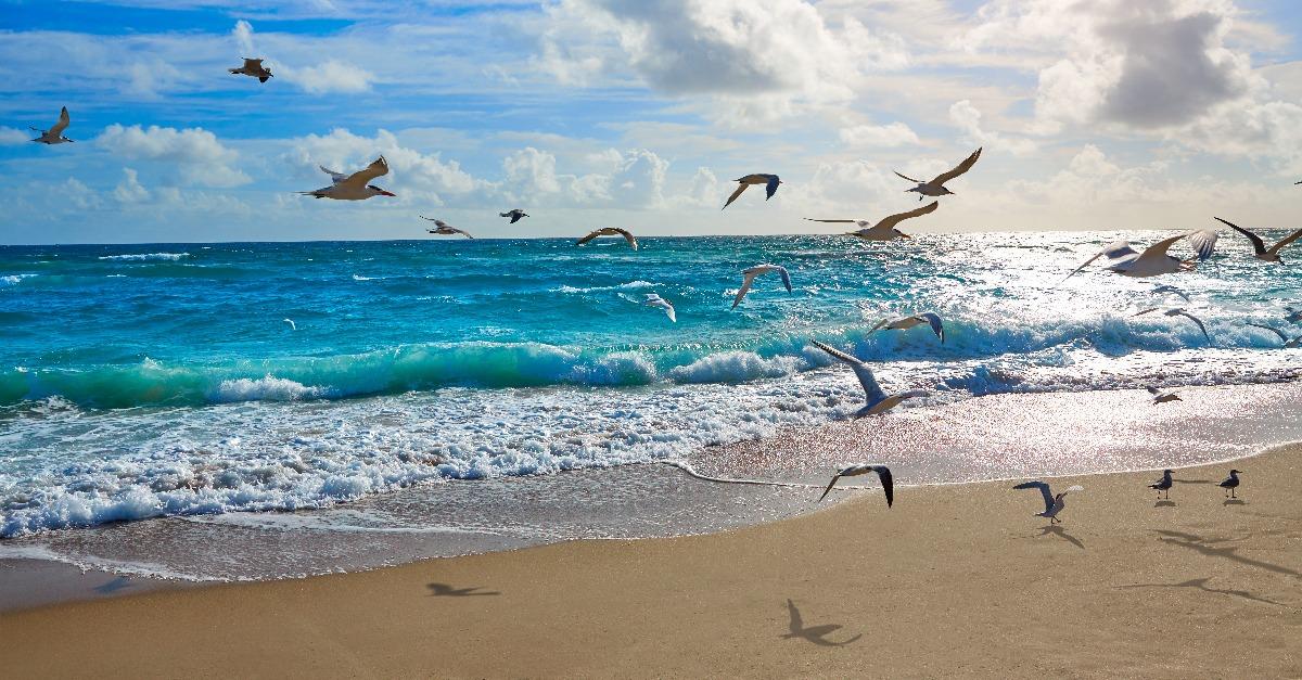Singer Island beach at Palm Beach Florida US