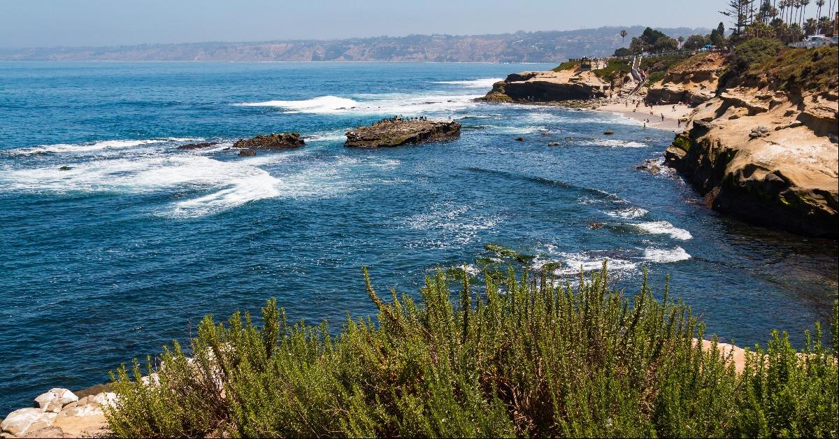 people at La Jolla Cove from atop a cliff 