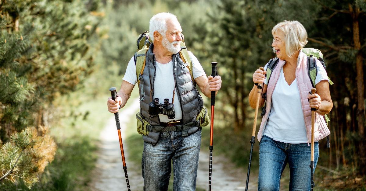 senior couple hiking with trekking sticks and backpacks at the young pine forest
