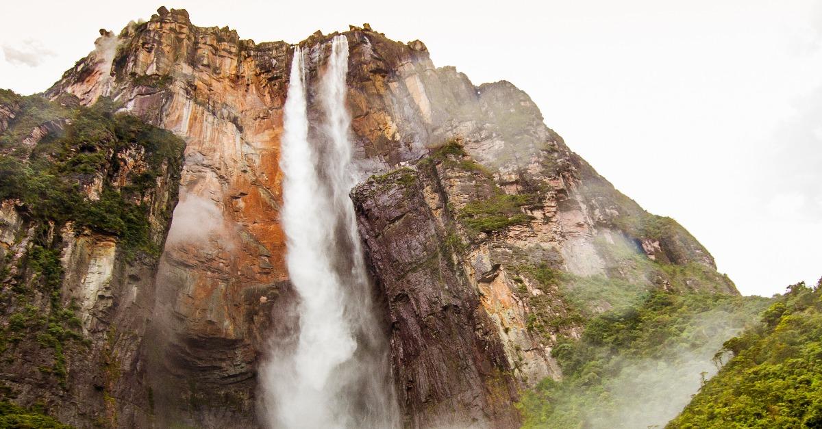 below forest of Angel Falls in Venezuela 