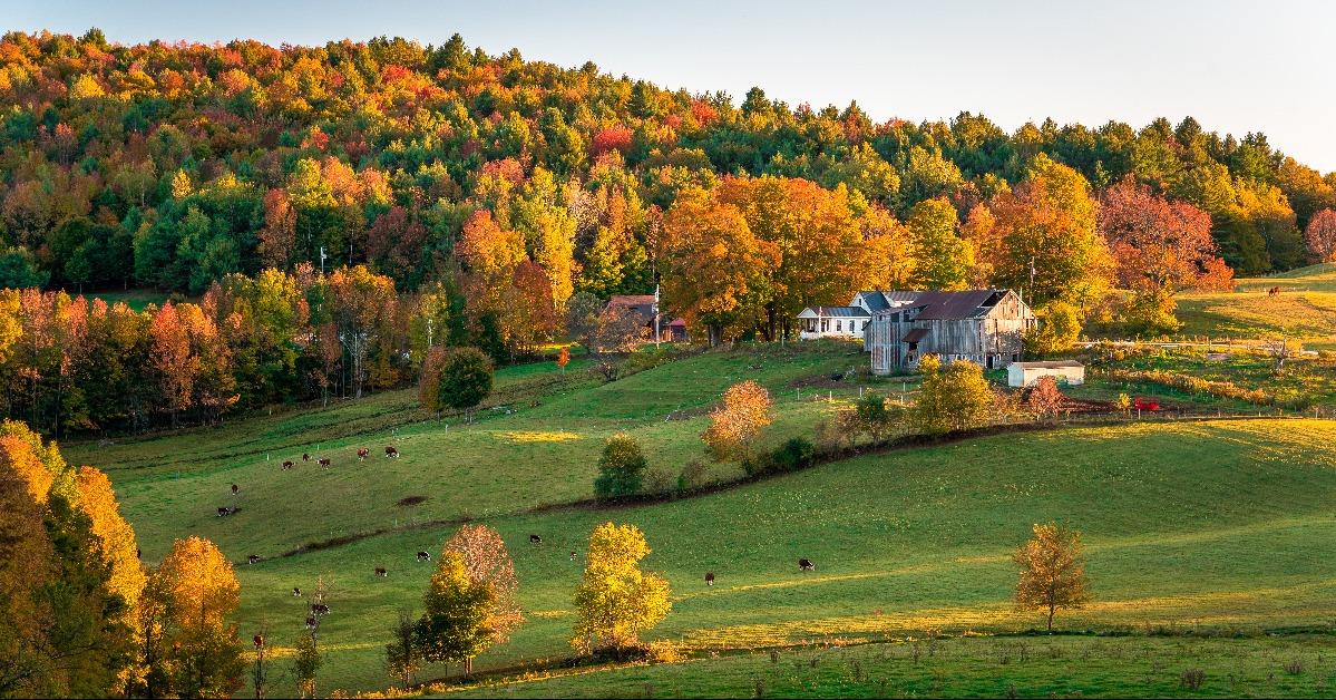 farm and pastureland in a colorful autumnal landscape 