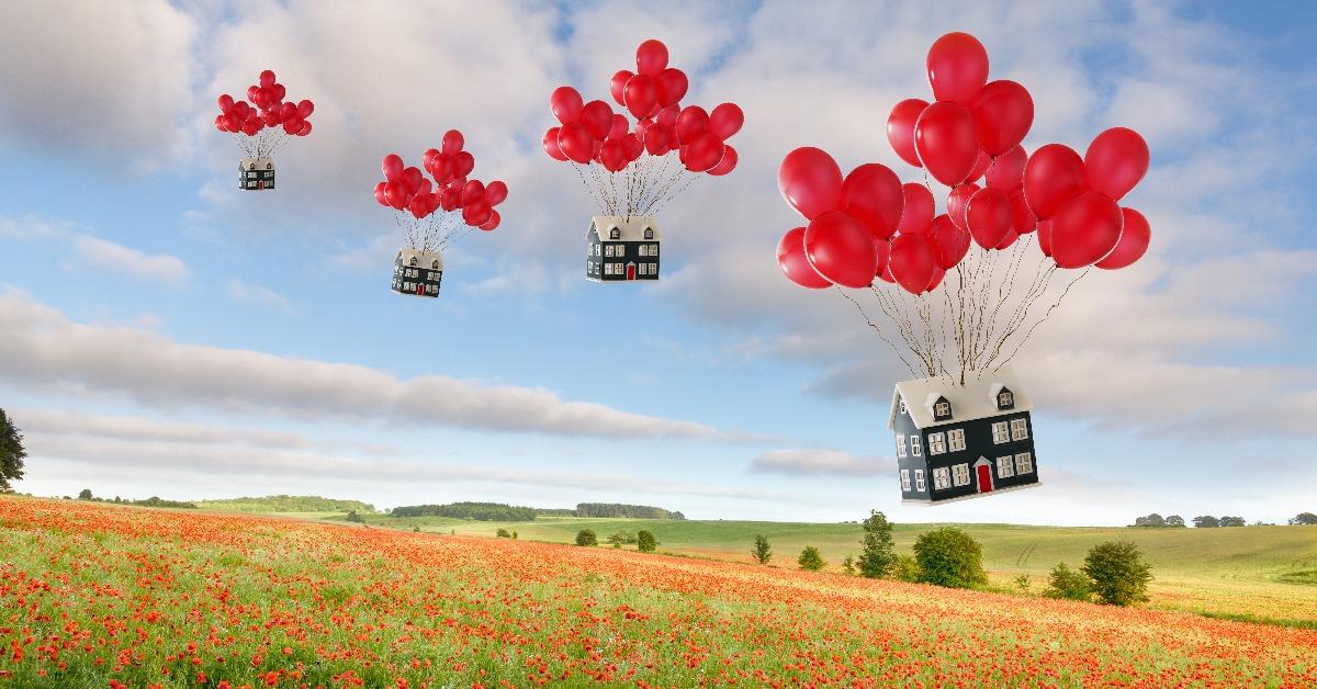houses tied to balloons soaring over poppy field