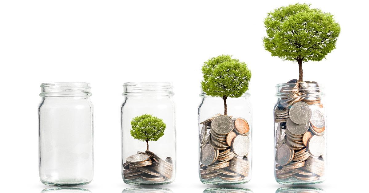 money coins and tree growing in jar