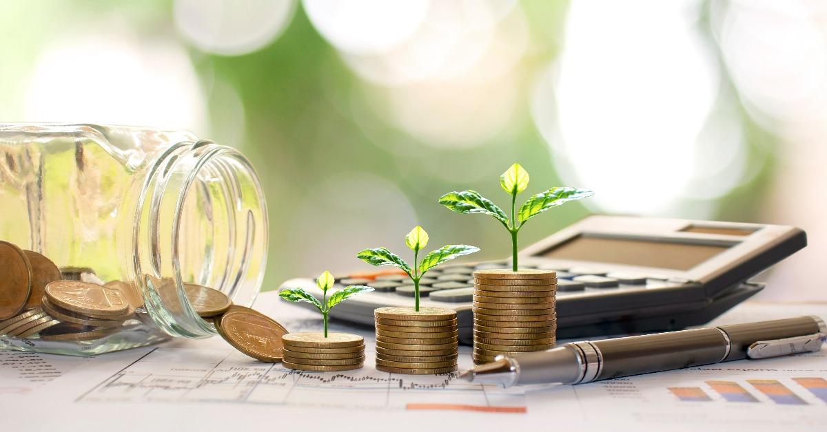 plant trees on coins and calculator