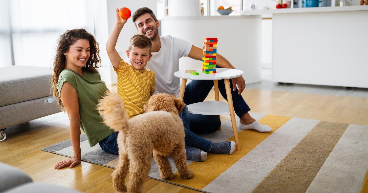 family having fun time playing together at home with dog