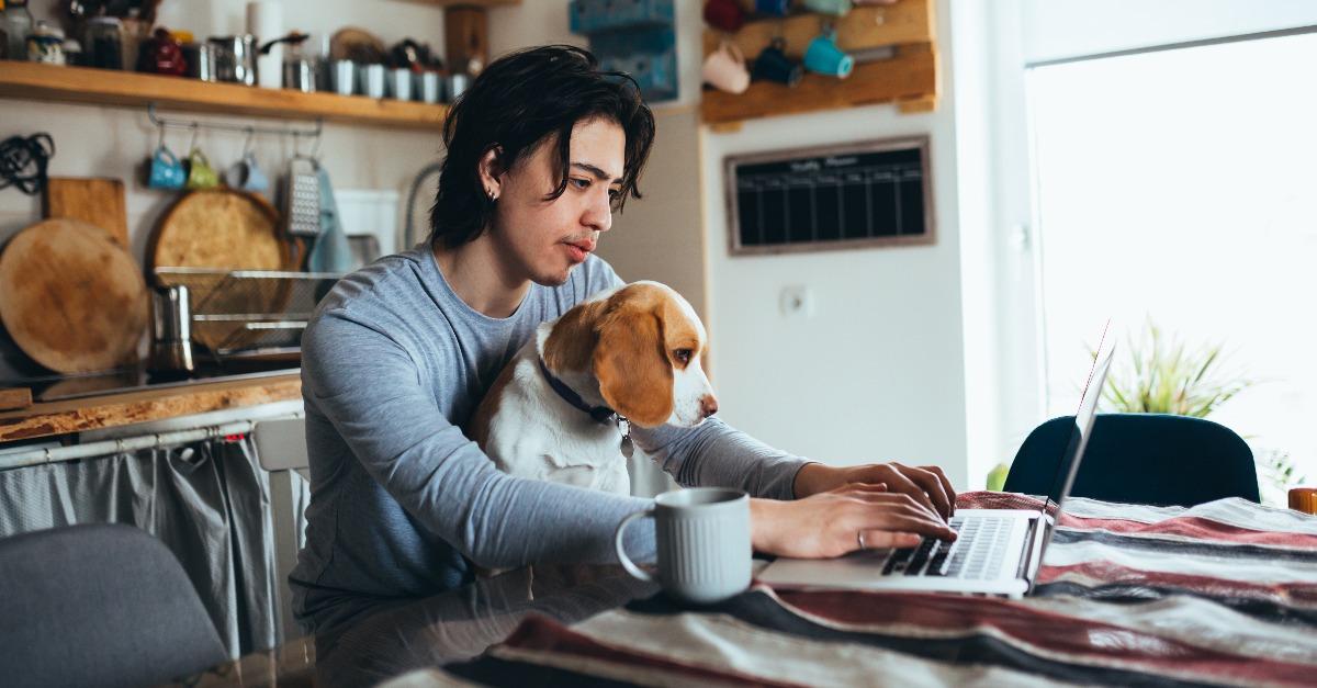 young man holding his dog in nap while using laptop in kitchen