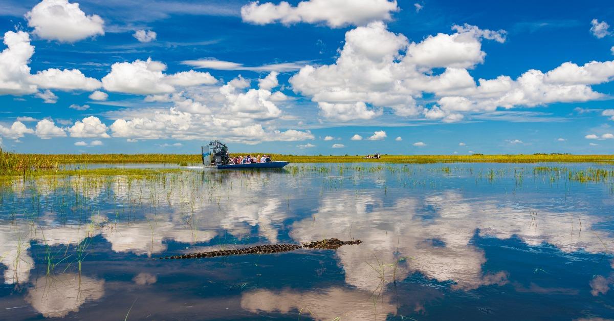 Florida Everglades airboat rides and alligators