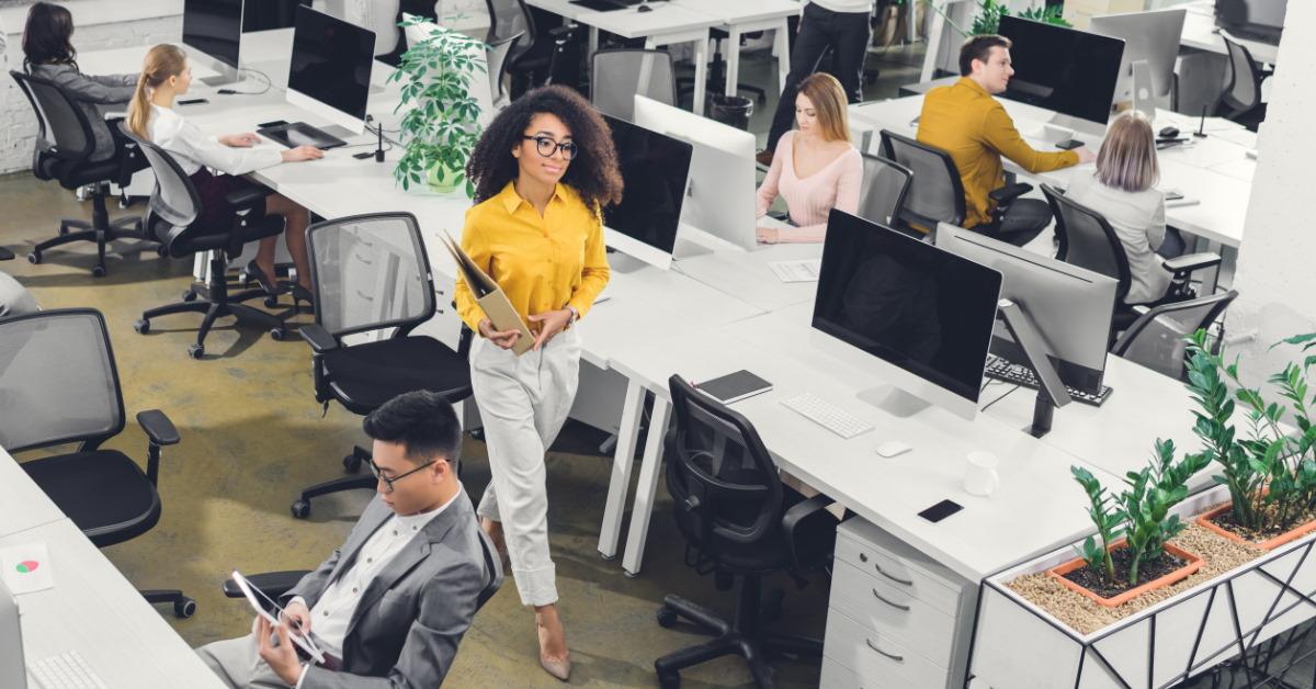employees working in office