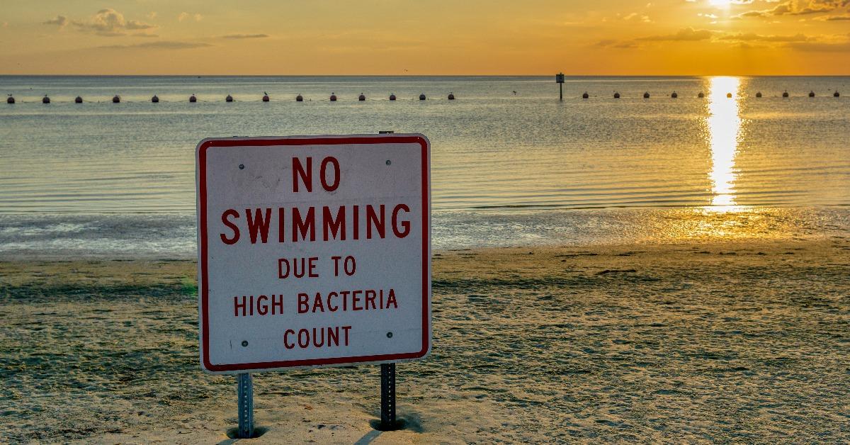 beach closed due to high bacteria levels in the water sign