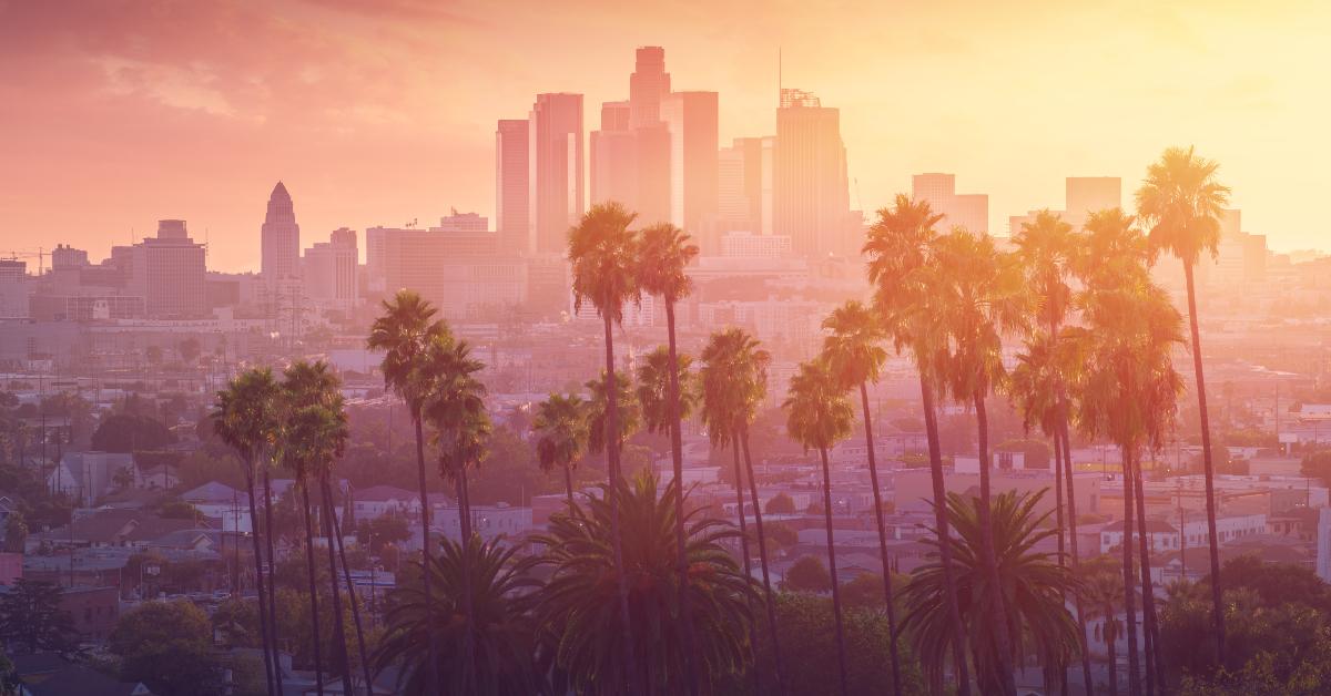 Los Angeles hot sunset view with palm trees
