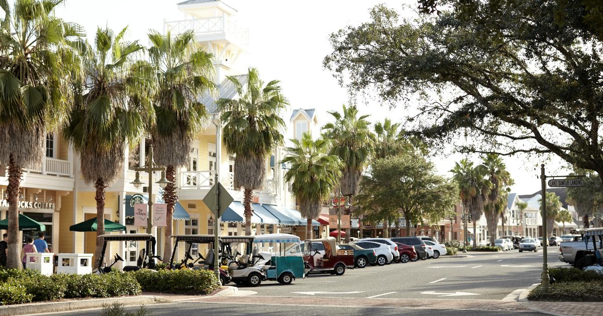 palm trees in the city