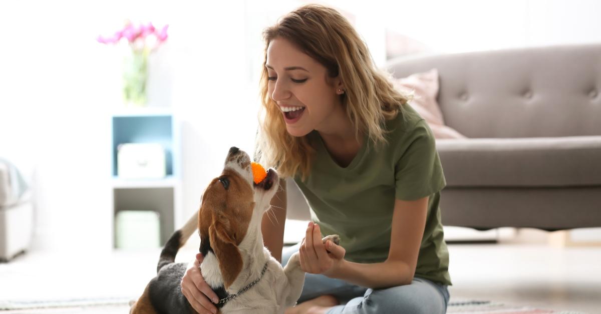 young woman playing with her dog at home