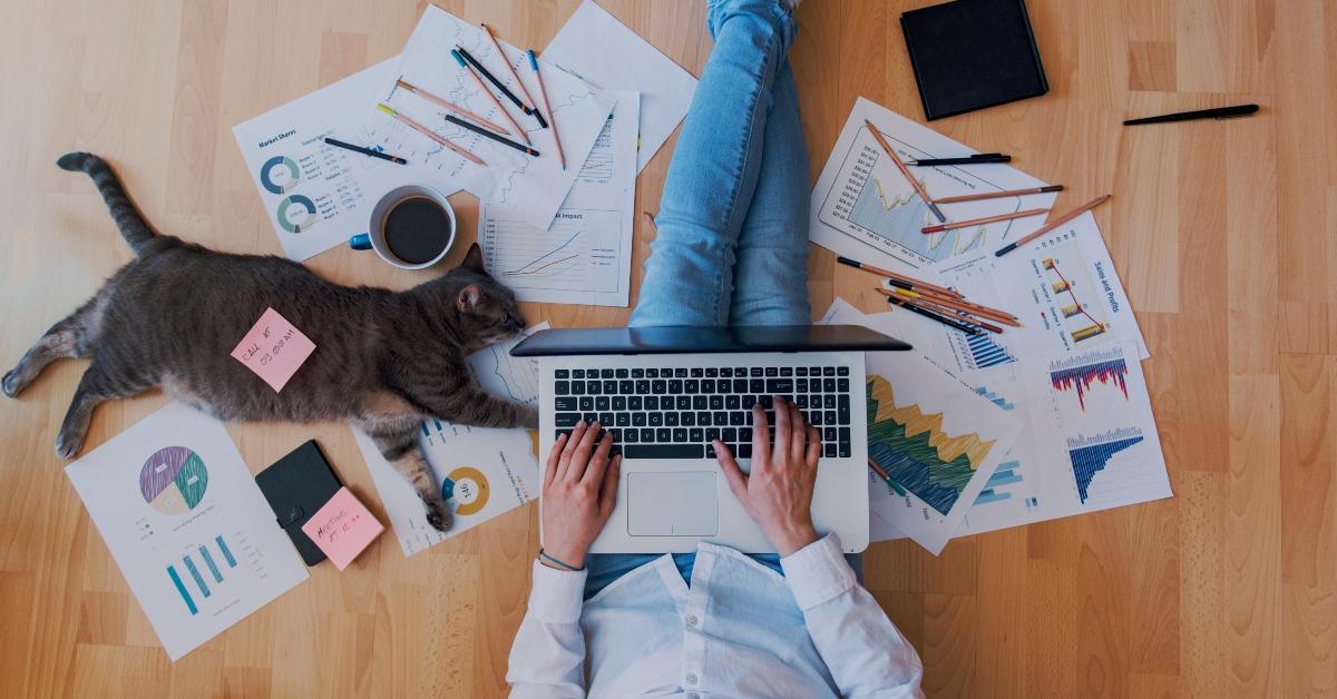 creative home work space with a cat