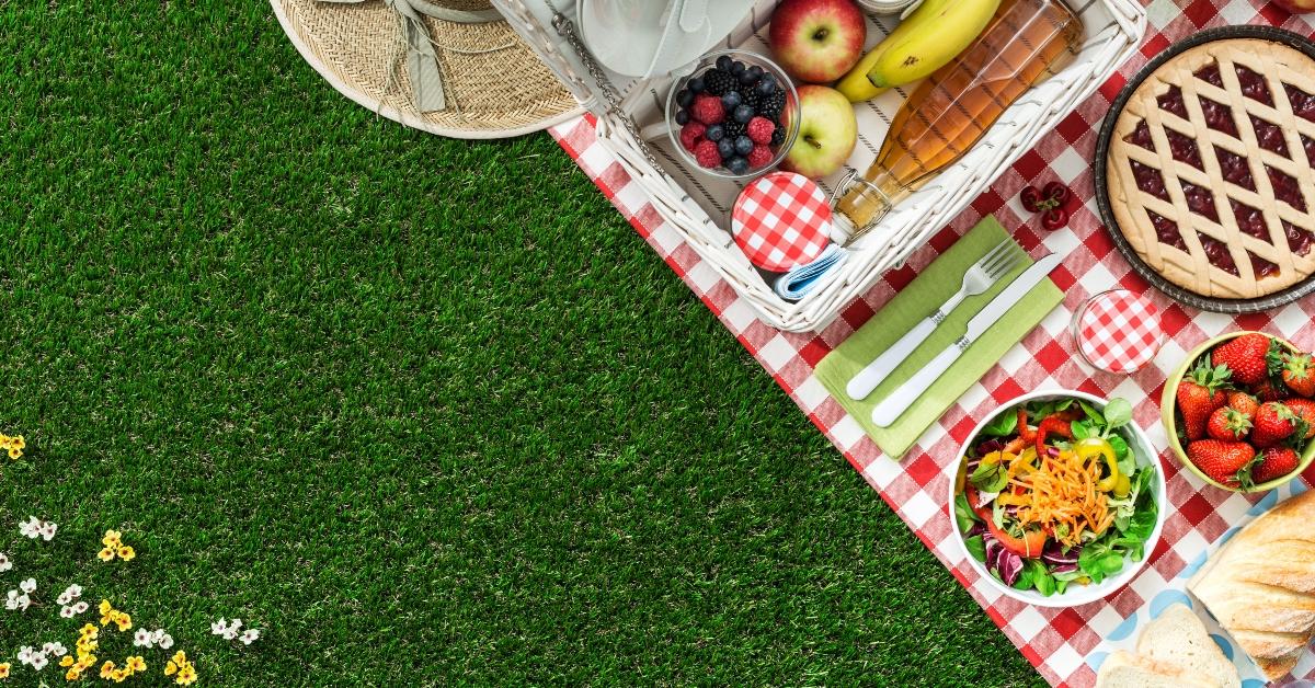 picnic at the park