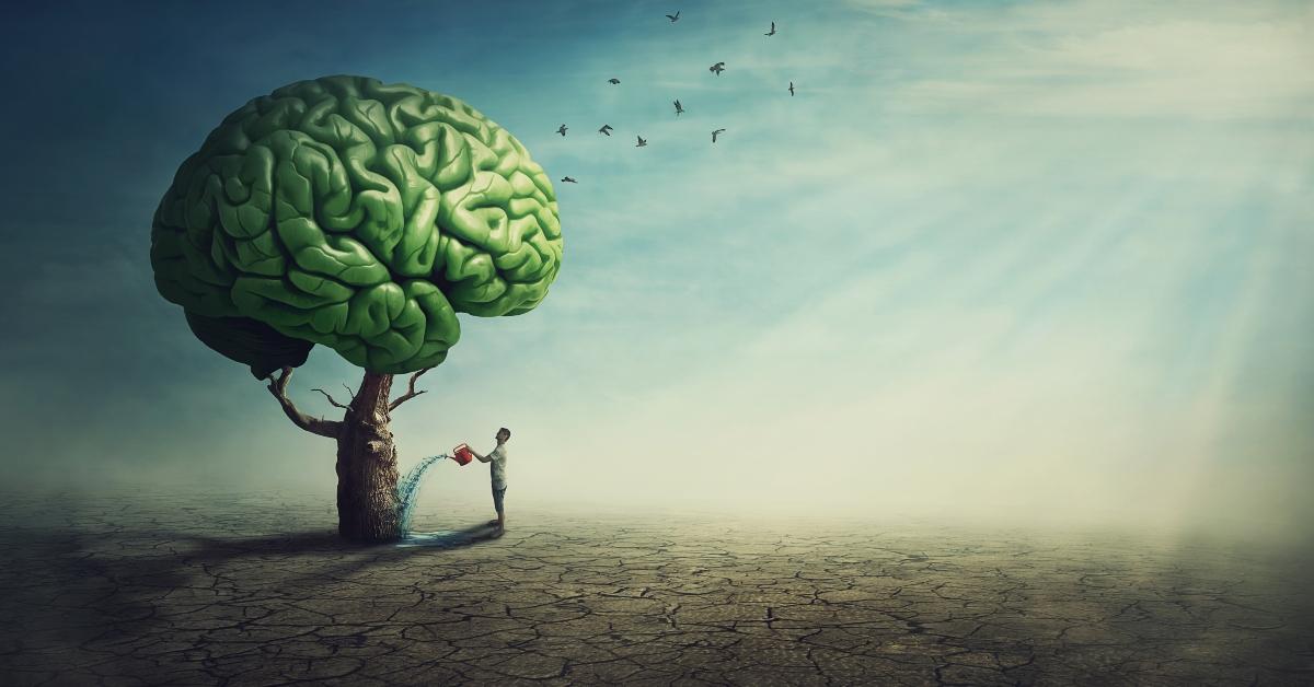 surreal brain tree in a desolate land and a determined person watering