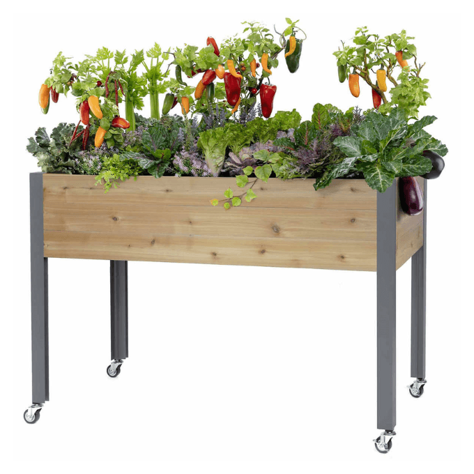 https://images.financebuzz.com/filters:quality(75)/images/2023/05/01/costco-cedarcraft_self-watering_planter.png