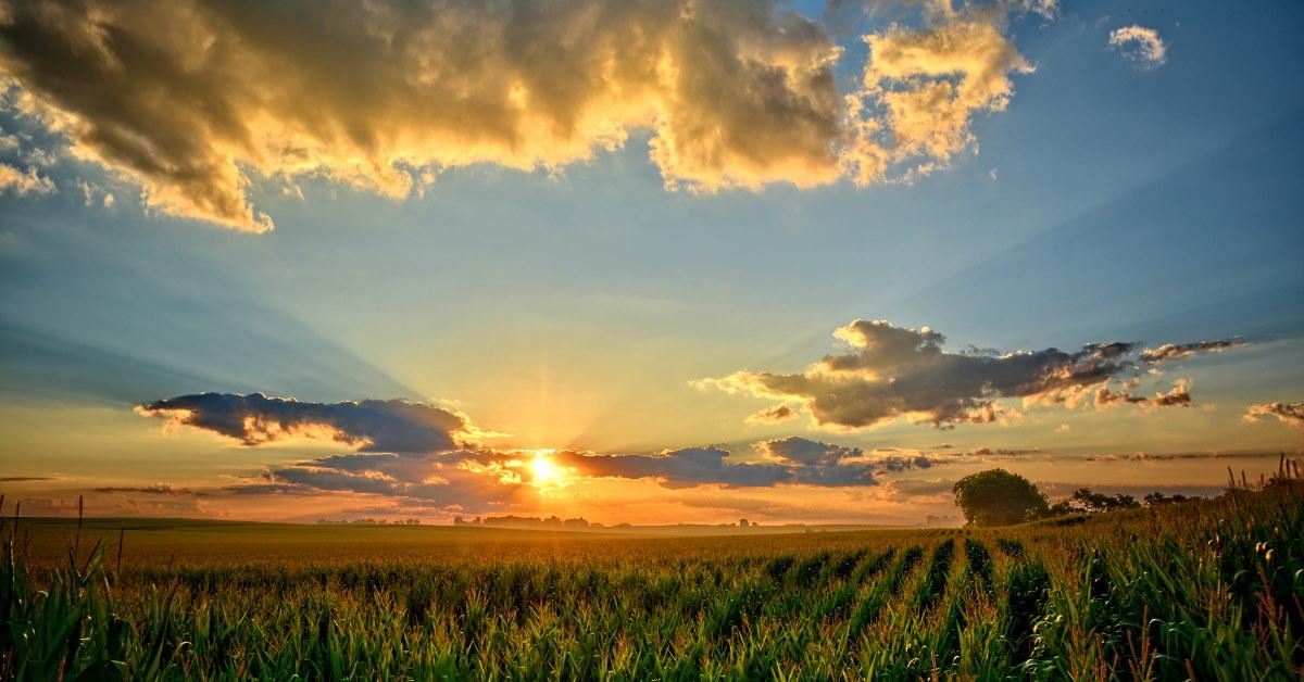 sunset over Iowa cornfields with cloudy sky.