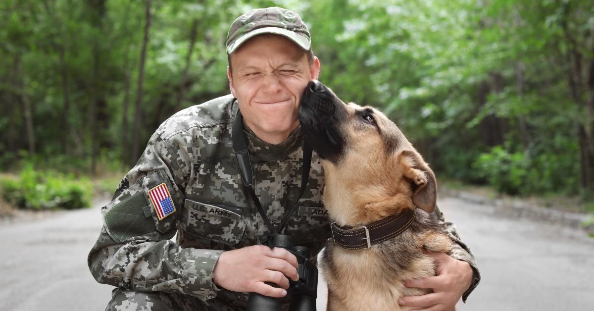 man in military uniform with German shepherd dog
