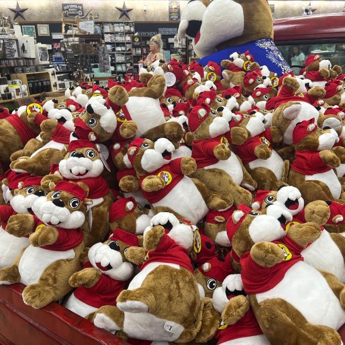 15 Best Things To Buy At Buc-ee's (According To Superfans) | FinanceBuzz