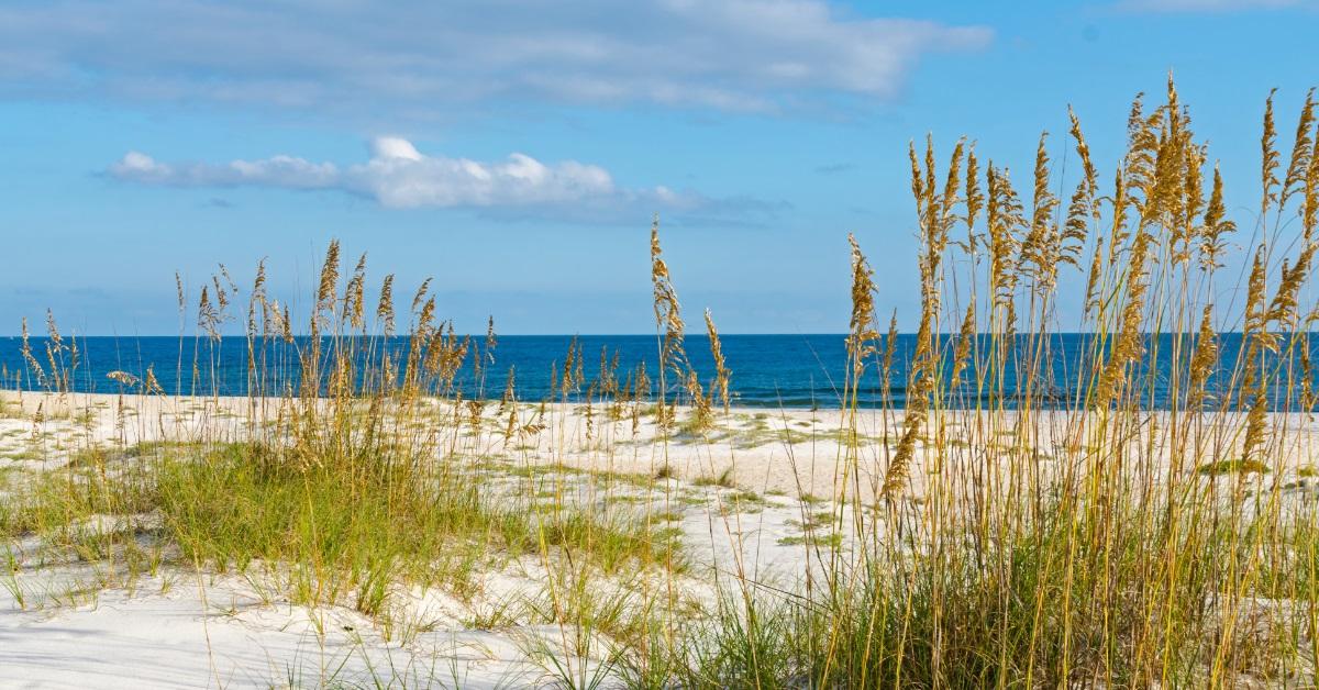 gulf coast scenery