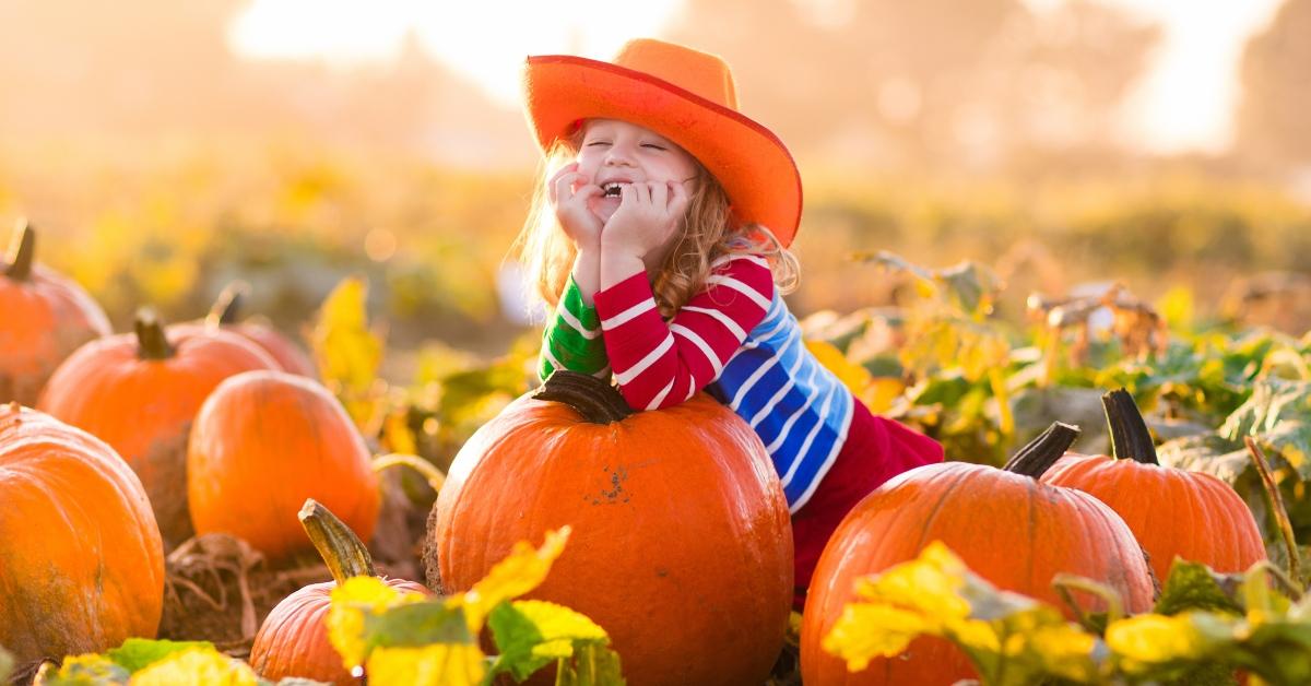 child playing on pumpkin patch