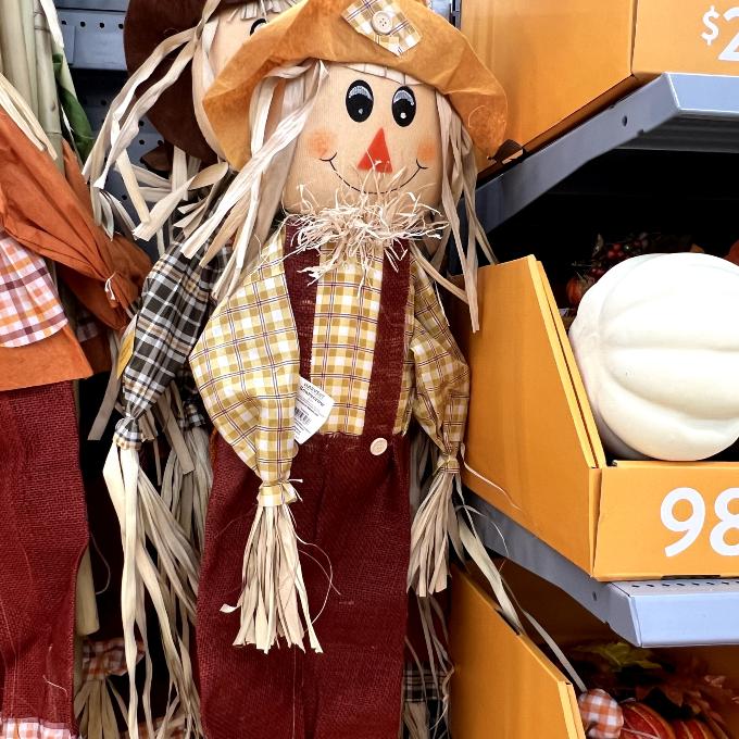 way to celebrate! 5-foot harvest scarecrow