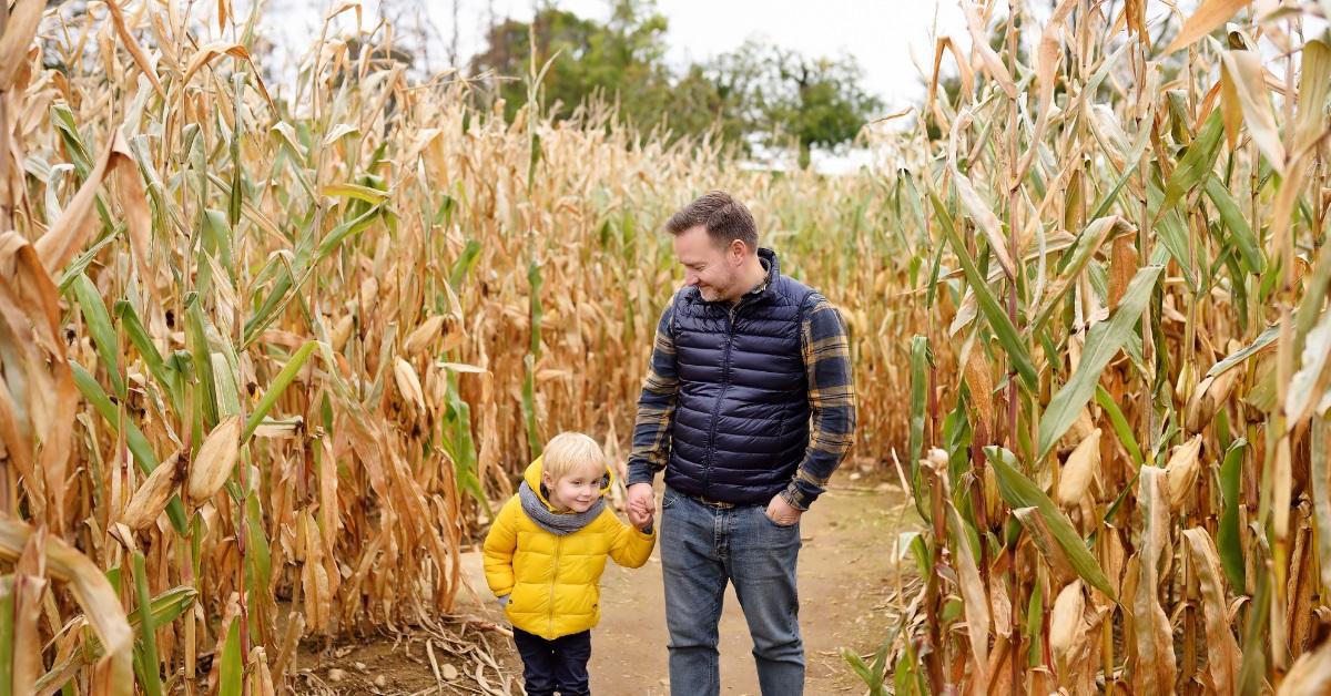 boy walking in field with father