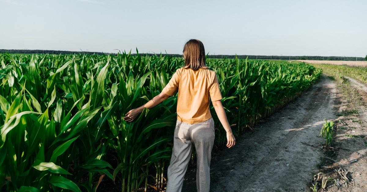 woman exploring corn field